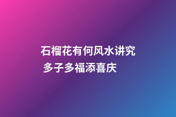 石榴花有何风水讲究 多子多福添喜庆